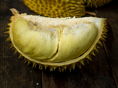 开云体育客户端APP下载基地展示二