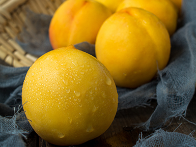 开云体育客户端APP下载基地展示五